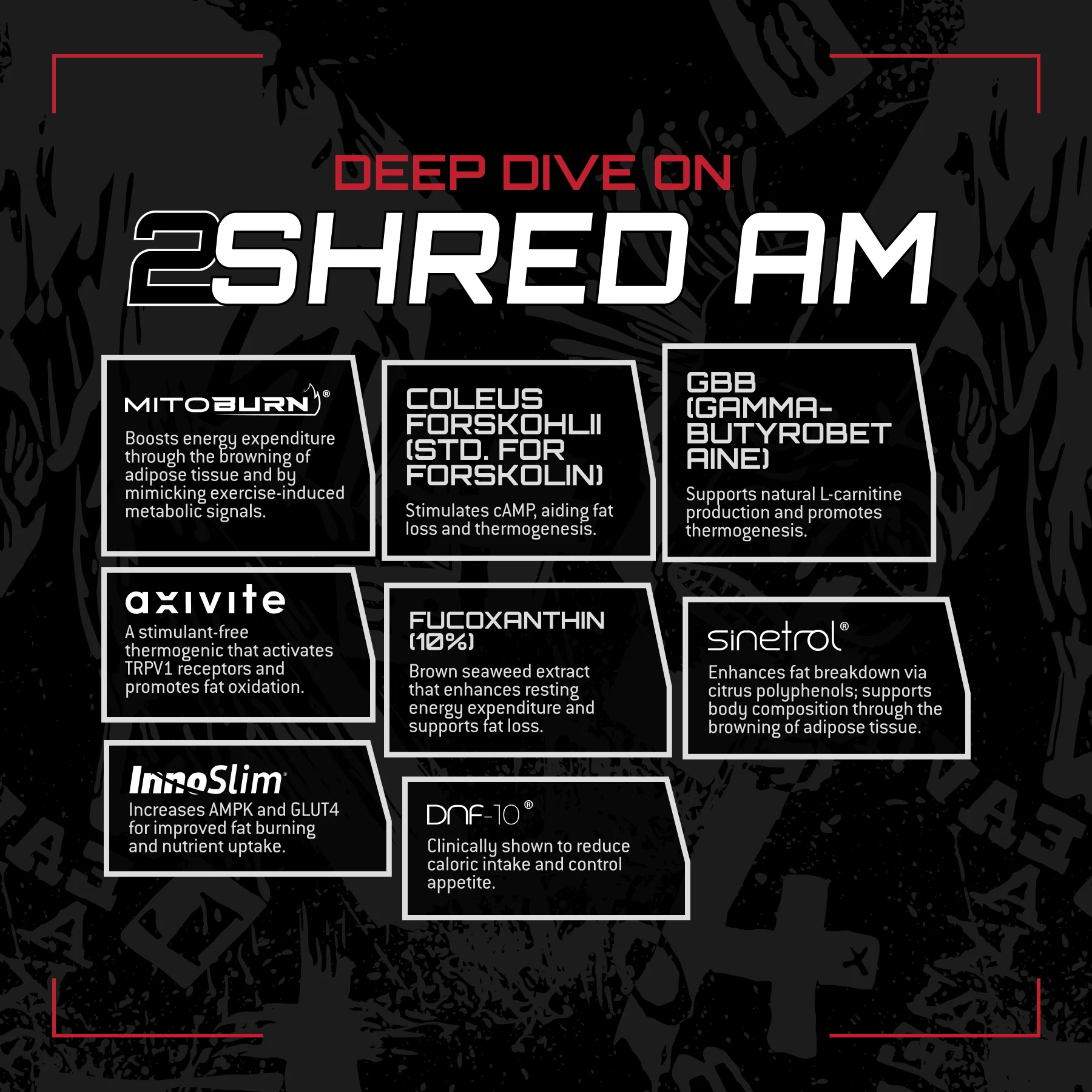 2Shred (30 Day Supply) - Image 7